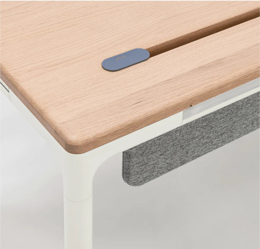 LEVADESK Smart Standing Desk