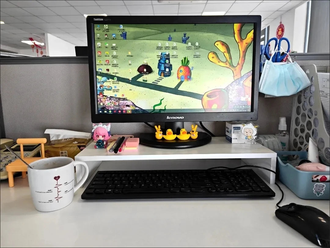 LevaDesk ErgoRise Desk Organizer Stand
